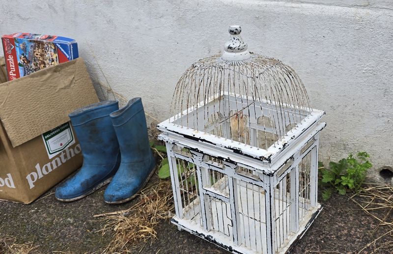 A birdcage and a cardboard box on the sidewalk