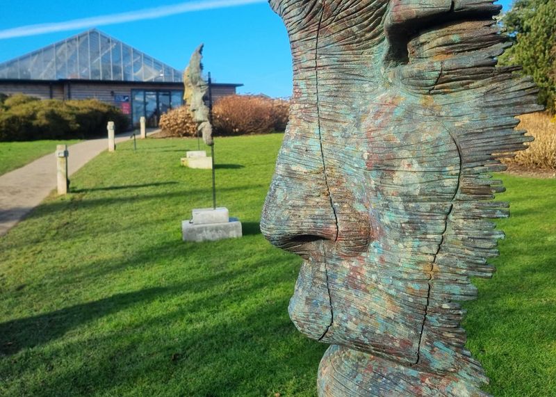 A birdcage and a cardboard box on the sidewalk